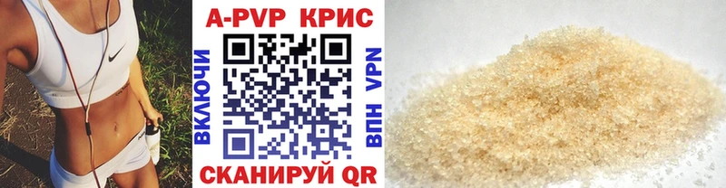 A PVP СК КРИС  Кинель 