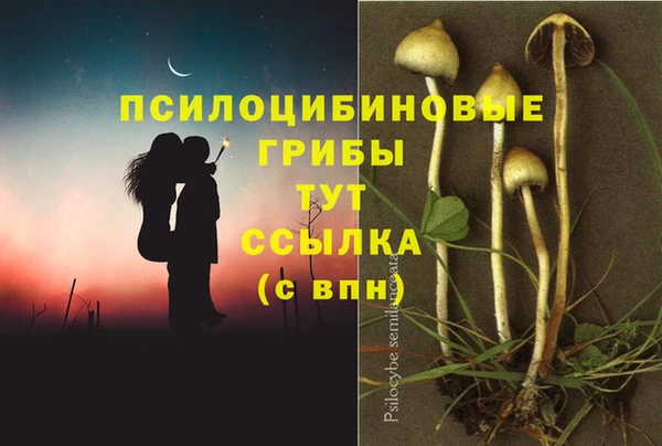COCAINE Нязепетровск
