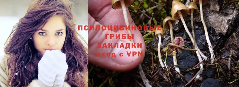 Галлюциногенные грибы MAGIC MUSHROOMS  блэк спрут ссылки  Кинель  цена наркотик 