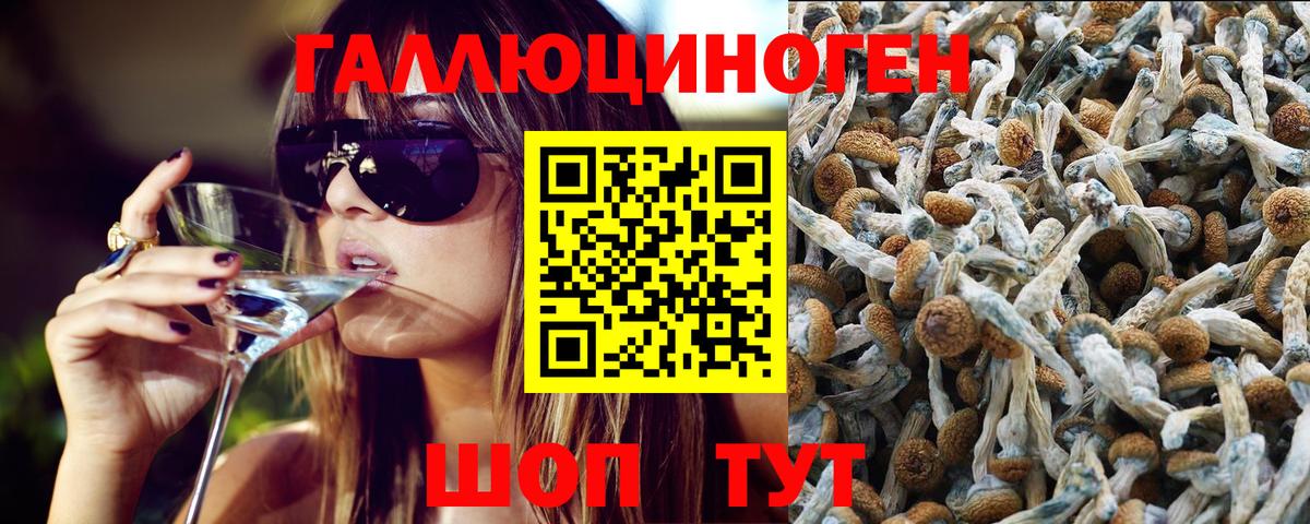 Кинель  Галлюциногенные грибы мухоморы  Вход с VPN 