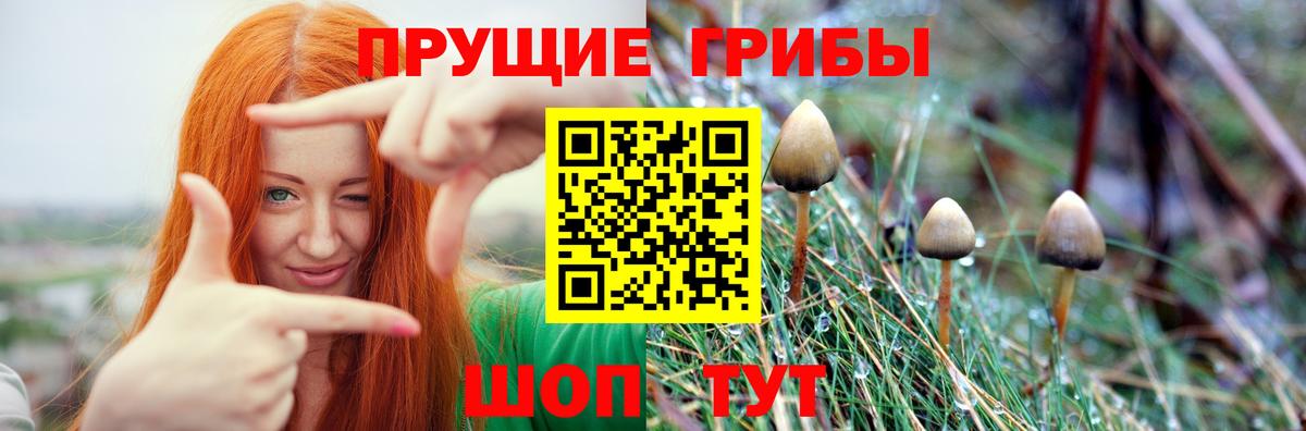 МЕФ Кинель